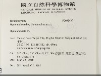 刺革菌屬藏品圖，第2張