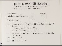 絲齒菌屬藏品圖，第2張