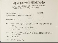 登錄號:F0033441藏品圖，第2張