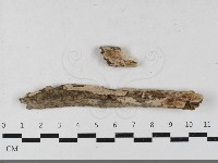 登錄號:F0033442藏品圖，第1張