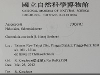 登錄號:F0033443藏品圖，第2張