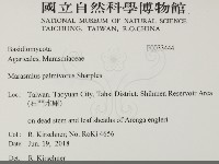 登錄號:F0033444藏品圖，第2張