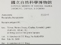 登錄號:F0033445藏品圖，第2張