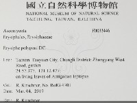 登錄號:F0033446藏品圖，第2張