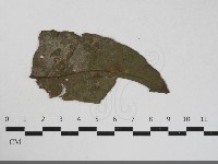 登錄號:F0033446藏品圖，第3張