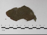 登錄號:F0033446藏品圖，第4張