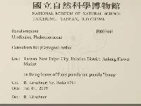 登錄號:F0033448藏品圖，第2張