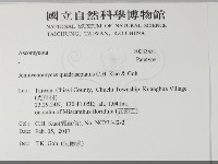 登錄號:F0033451藏品圖，第2張