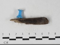 登錄號:F0033451藏品圖，第1張