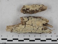 登錄號:F0033452藏品圖，第1張