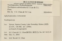 登錄號:F0033452藏品圖，第3張