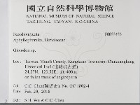 登錄號:F0033456藏品圖，第2張