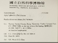 登錄號:F0033460藏品圖，第2張