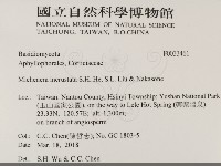 登錄號:F0033461藏品圖，第2張