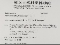 登錄號:F0033463藏品圖，第2張