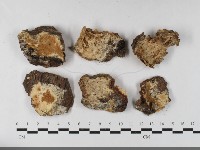 登錄號:F0033464藏品圖，第1張