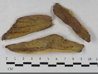 登錄號:F0033465藏品圖，第1張