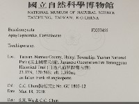 登錄號:F0033466藏品圖，第2張
