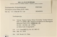 登錄號:F0033466藏品圖，第3張