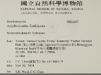 登錄號:F0033469藏品圖，第2張