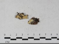 登錄號:F0033469藏品圖，第1張