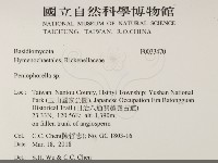 擬筍殼菌屬藏品圖，第2張