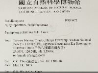 登錄號:F0033472藏品圖，第2張