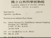 登錄號:F0033473藏品圖，第2張