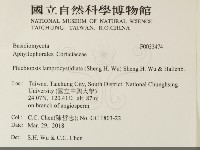 燈籠囊擬射脈菌藏品圖，第2張