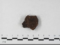 登錄號:F0033476藏品圖，第3張