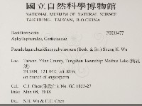 登錄號:F0033477藏品圖，第2張