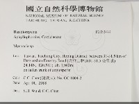 登錄號:F0033479藏品圖，第2張