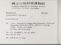 登錄號:F0033480藏品圖，第2張