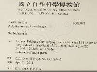 絲皮菌屬藏品圖，第2張