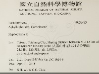 絲皮菌屬藏品圖，第2張