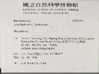 登錄號:F0033484藏品圖，第2張