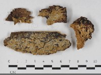 登錄號:F0033484藏品圖，第1張