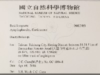 登錄號:F0033485藏品圖，第2張