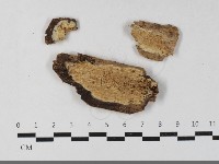 登錄號:F0033485藏品圖，第1張