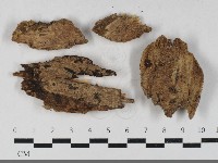 登錄號:F0033486藏品圖，第1張