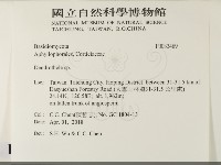 登錄號:F0033489藏品圖，第2張