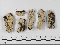 登錄號:F0033489藏品圖，第1張