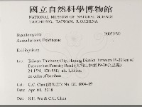登錄號:F0033490藏品圖，第2張