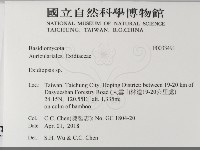 登錄號:F0033491藏品圖，第2張