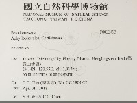 射脈菌屬藏品圖，第2張