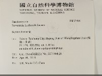 登錄號:F0033494藏品圖，第2張