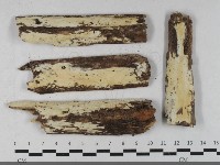 登錄號:F0033494藏品圖，第1張