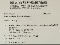 登錄號:F0033495藏品圖，第2張