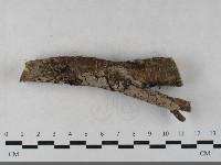 登錄號:F0033495藏品圖，第1張