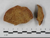 登錄號:F0033498藏品圖，第1張